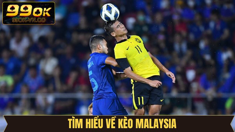 Kèo Malaysia - Cá Cược Thể Thao Hấp Dẫn Hơn Bao Giờ Hết 2 Khám phá đôi chút về kèo Malaysia